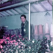 Hoak s Greenhouse